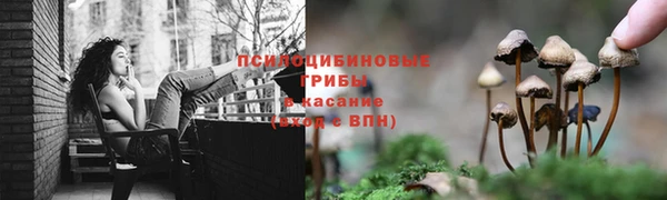 сатива Верхнеуральск